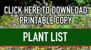 Plant List PDF