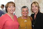 2019 Picnic for the Park Photo