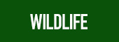 wildlife label